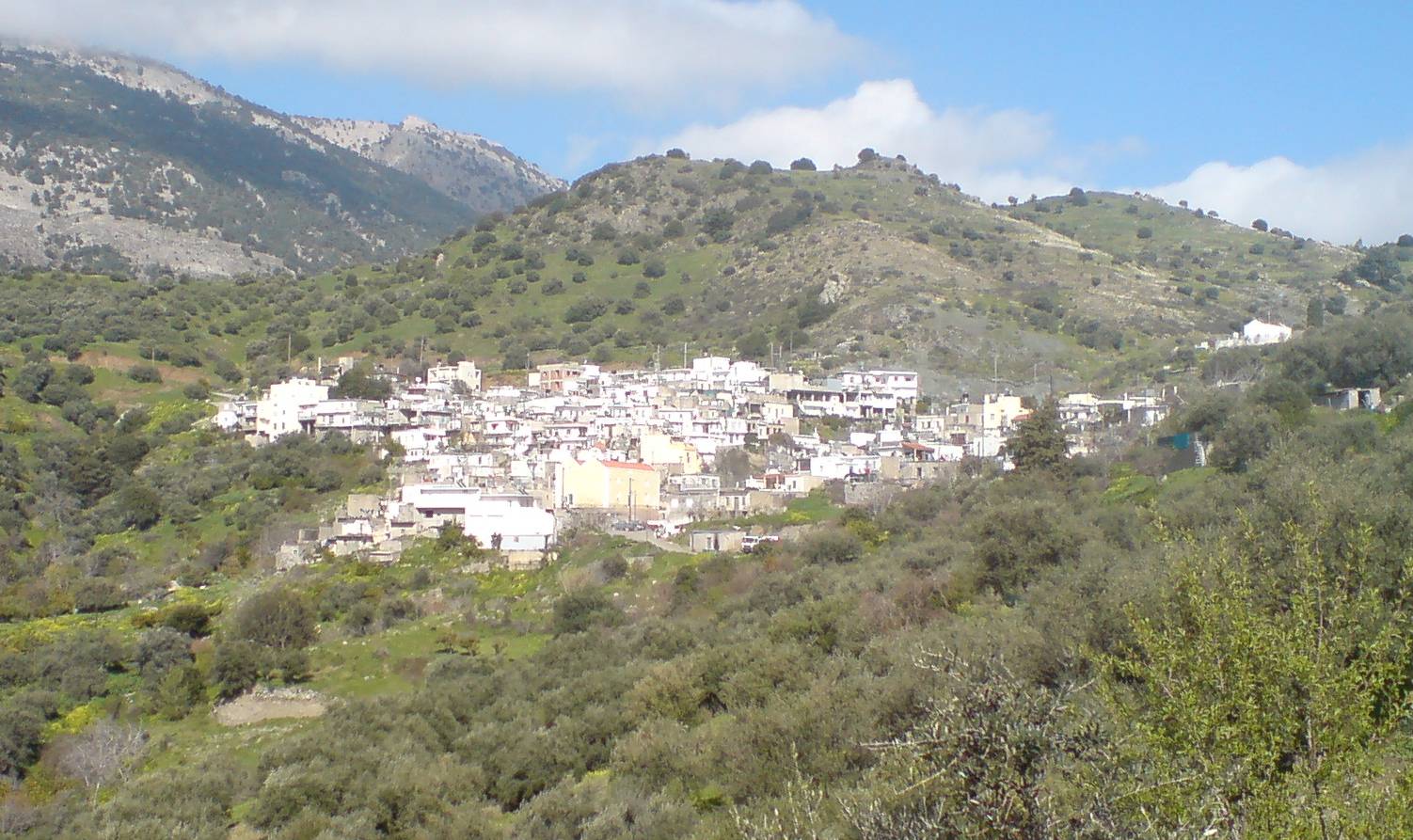 Sykologos, Viannos