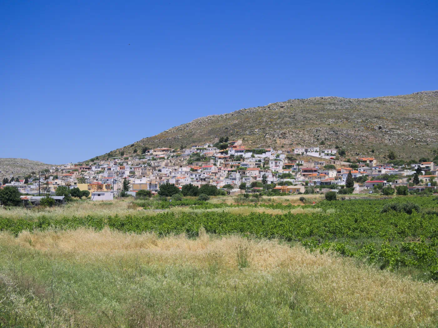 Ziros, Siteia