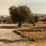 The Minoan Palatial Centres’ Inscription on the UNESCO World Heritage List